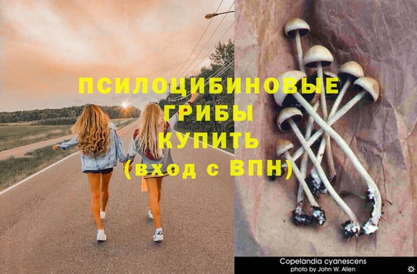 альфа пвп VHQ Белокуриха