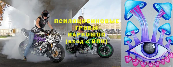 индика Беломорск