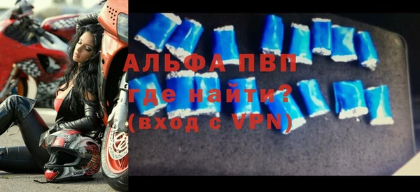 индика Беломорск
